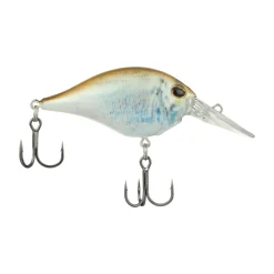 Clearance Dime 4 Crankbait Shallow Diving Crankbaits (0-5')