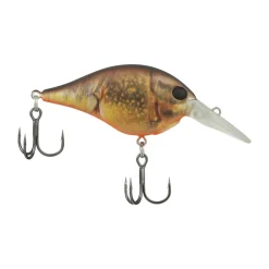 Clearance Dime 4 Crankbait Shallow Diving Crankbaits (0-5')