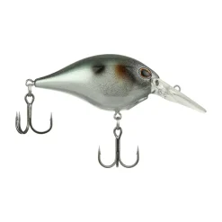 Clearance Dime 4 Crankbait Shallow Diving Crankbaits (0-5')