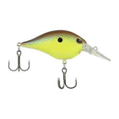 Clearance Dime 4 Crankbait Shallow Diving Crankbaits (0-5')
