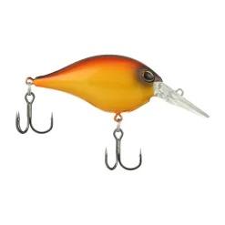 Clearance Dime 4 Crankbait Shallow Diving Crankbaits (0-5')