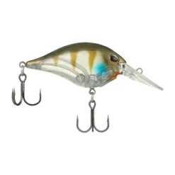 Clearance Dime 4 Crankbait Shallow Diving Crankbaits (0-5')