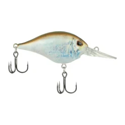 New Dime 6 Crankbait Medium Diving Crankbaits (6-10')