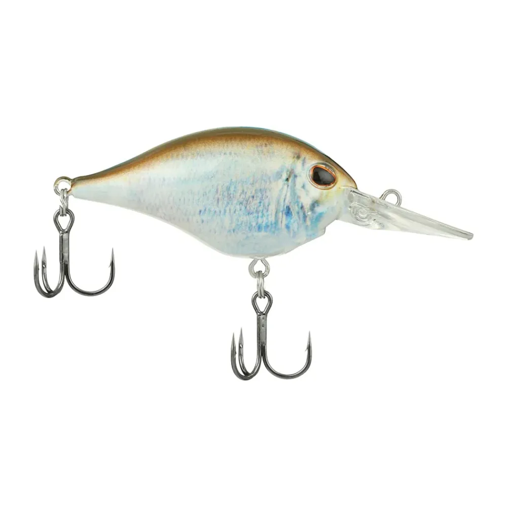 New Dime 6 Crankbait Medium Diving Crankbaits (6-10')