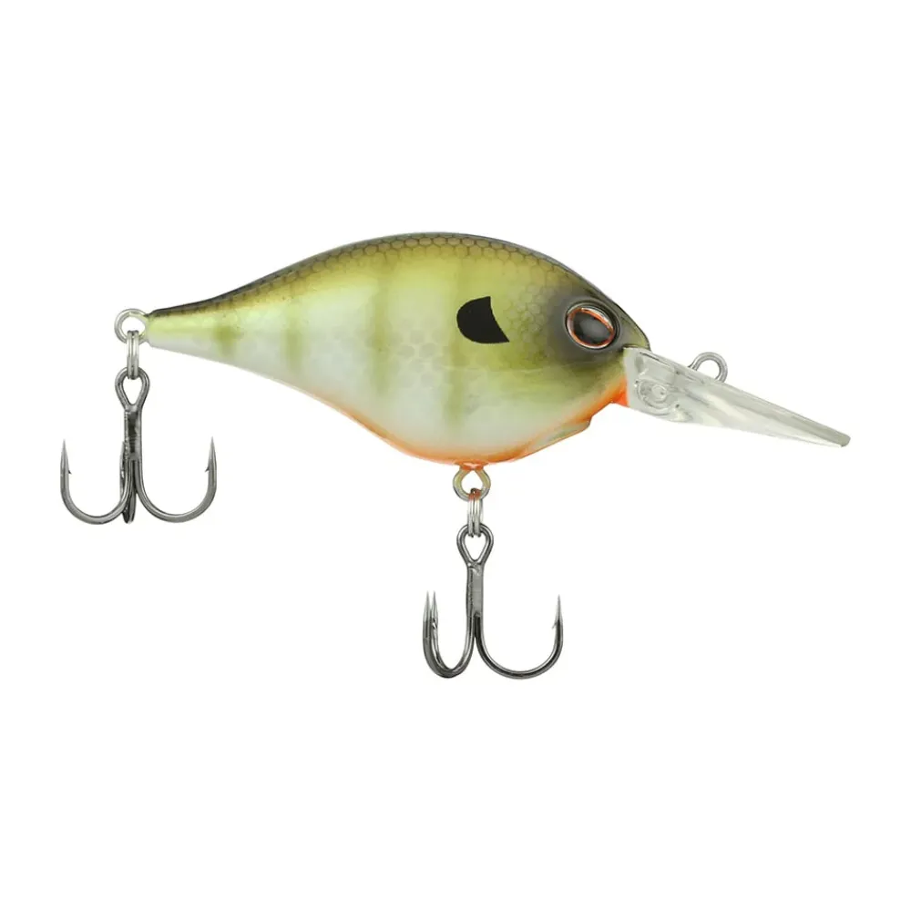 New Dime 6 Crankbait Medium Diving Crankbaits (6-10')