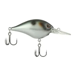 New Dime 6 Crankbait Medium Diving Crankbaits (6-10')