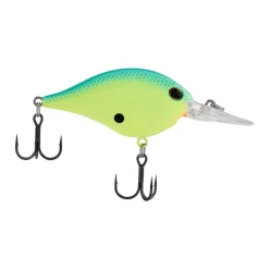 New Dime 6 Crankbait Medium Diving Crankbaits (6-10')