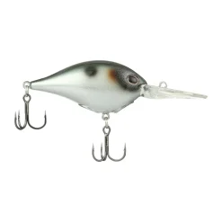 Best Dime 10 Crankbait Medium Diving Crankbaits (6-10')