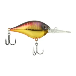 Best Dime 10 Crankbait Medium Diving Crankbaits (6-10')