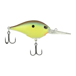 Best Dime 10 Crankbait Medium Diving Crankbaits (6-10')