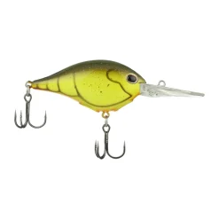 Best Dime 10 Crankbait Medium Diving Crankbaits (6-10')