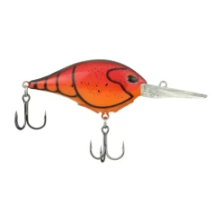Best Dime 10 Crankbait Medium Diving Crankbaits (6-10')