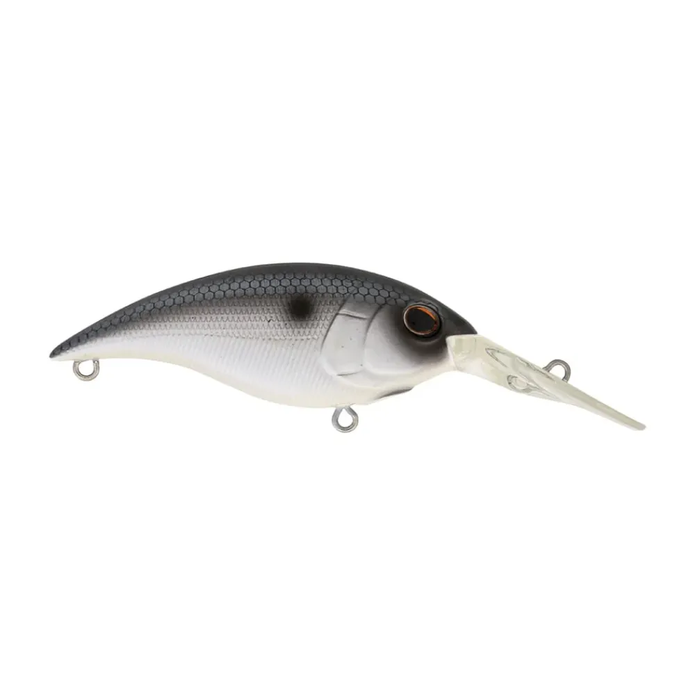 New Money Badger Crankbaits Medium Diving Crankbaits (6-10')|Deep Diving Crankbaits (11'+)
