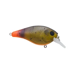 New Squarebull Crankbait Shallow Diving Crankbaits (0-5')