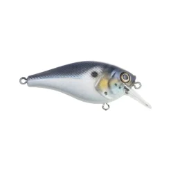 New Squarebull Crankbait Shallow Diving Crankbaits (0-5')
