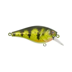 New Squarebull Crankbait Shallow Diving Crankbaits (0-5')