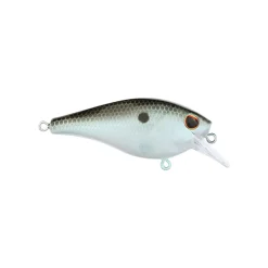 New Squarebull Crankbait Shallow Diving Crankbaits (0-5')