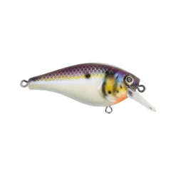New Squarebull Crankbait Shallow Diving Crankbaits (0-5')