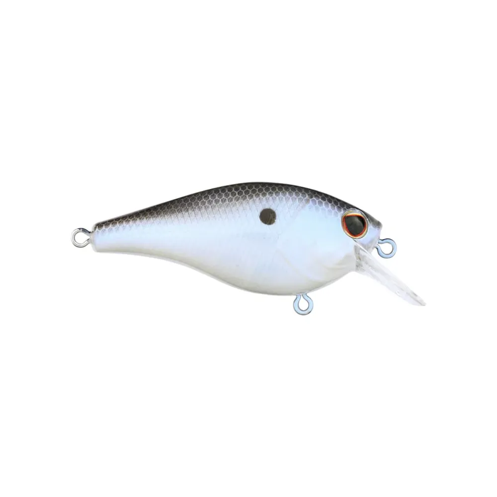 New Squarebull Crankbait Shallow Diving Crankbaits (0-5')