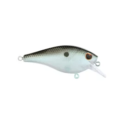 New Squarebull Crankbait Shallow Diving Crankbaits (0-5')
