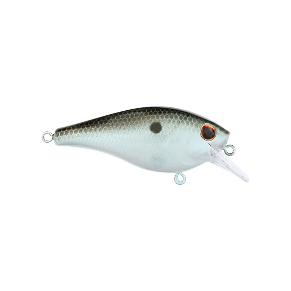 New Squarebull Crankbait Shallow Diving Crankbaits (0-5')