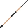 Sale World Class Inshore Spinning Rod Heavy Duty Spinning Rods