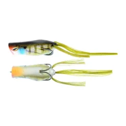 New Gavacho Frog Hollow Body Frogs