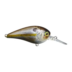New MC60 MR Crankbait Medium Diving Crankbaits (6-10')