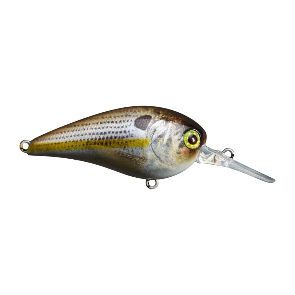 New MC60 MR Crankbait Medium Diving Crankbaits (6-10')