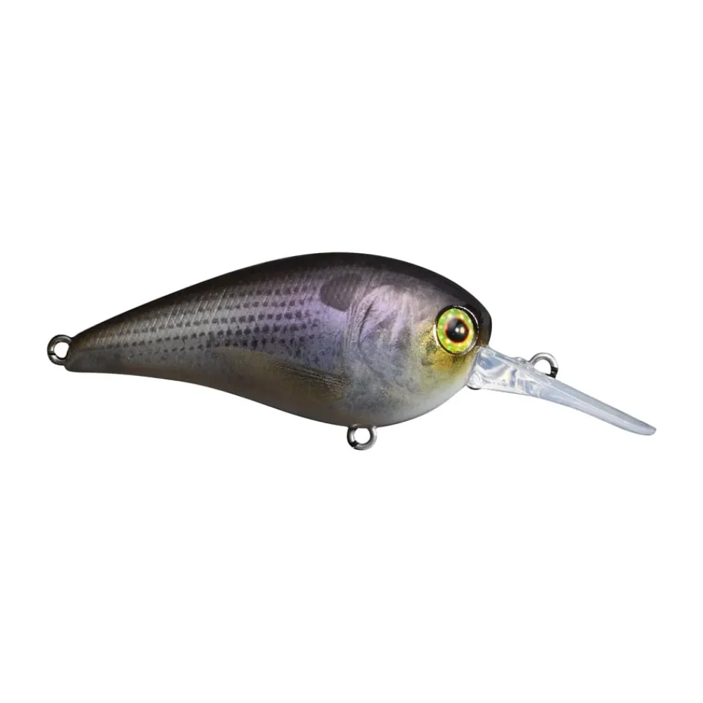 New MC60 MR Crankbait Medium Diving Crankbaits (6-10')