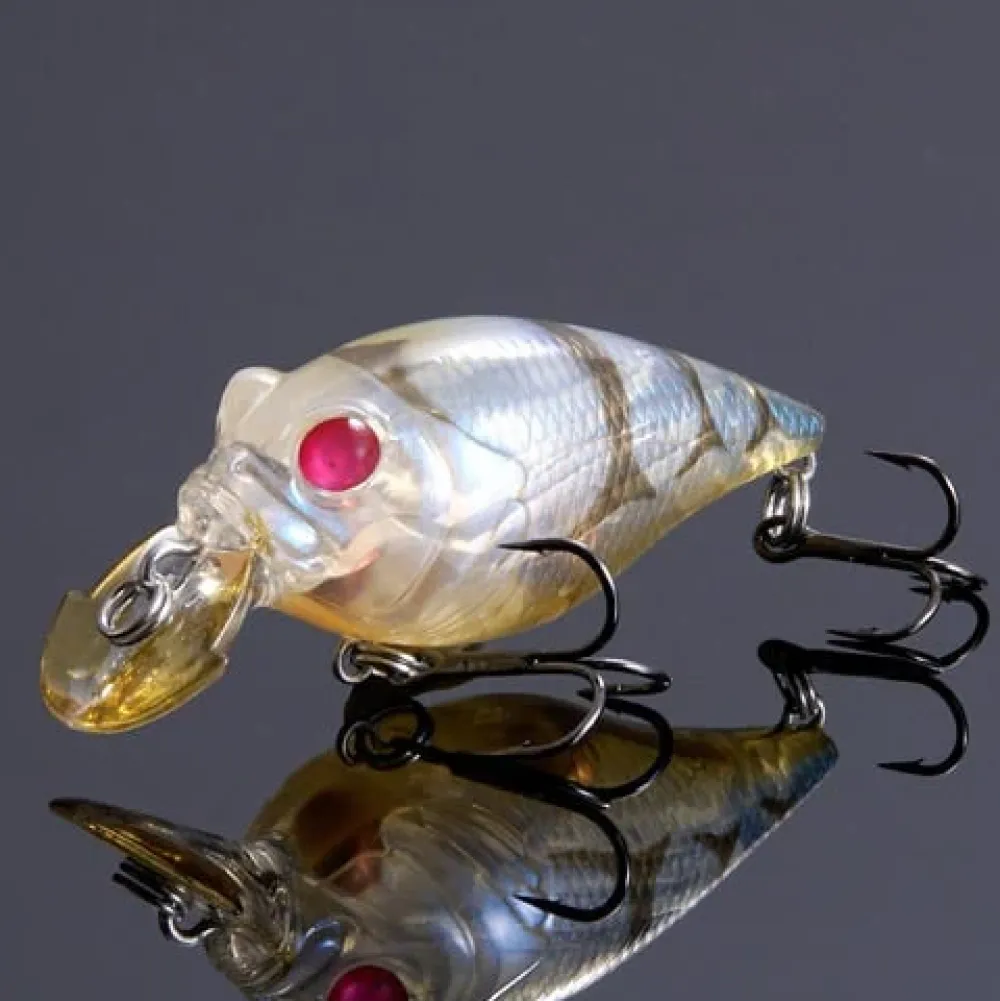 Hot Griffon Bait Finesse SR-X Crankbait (SP-C) Redeye Glass Shrim Curiosity Box