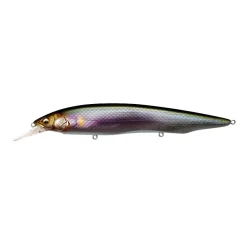 Clearance Kanata+1 Jerkbait Jerkbaits