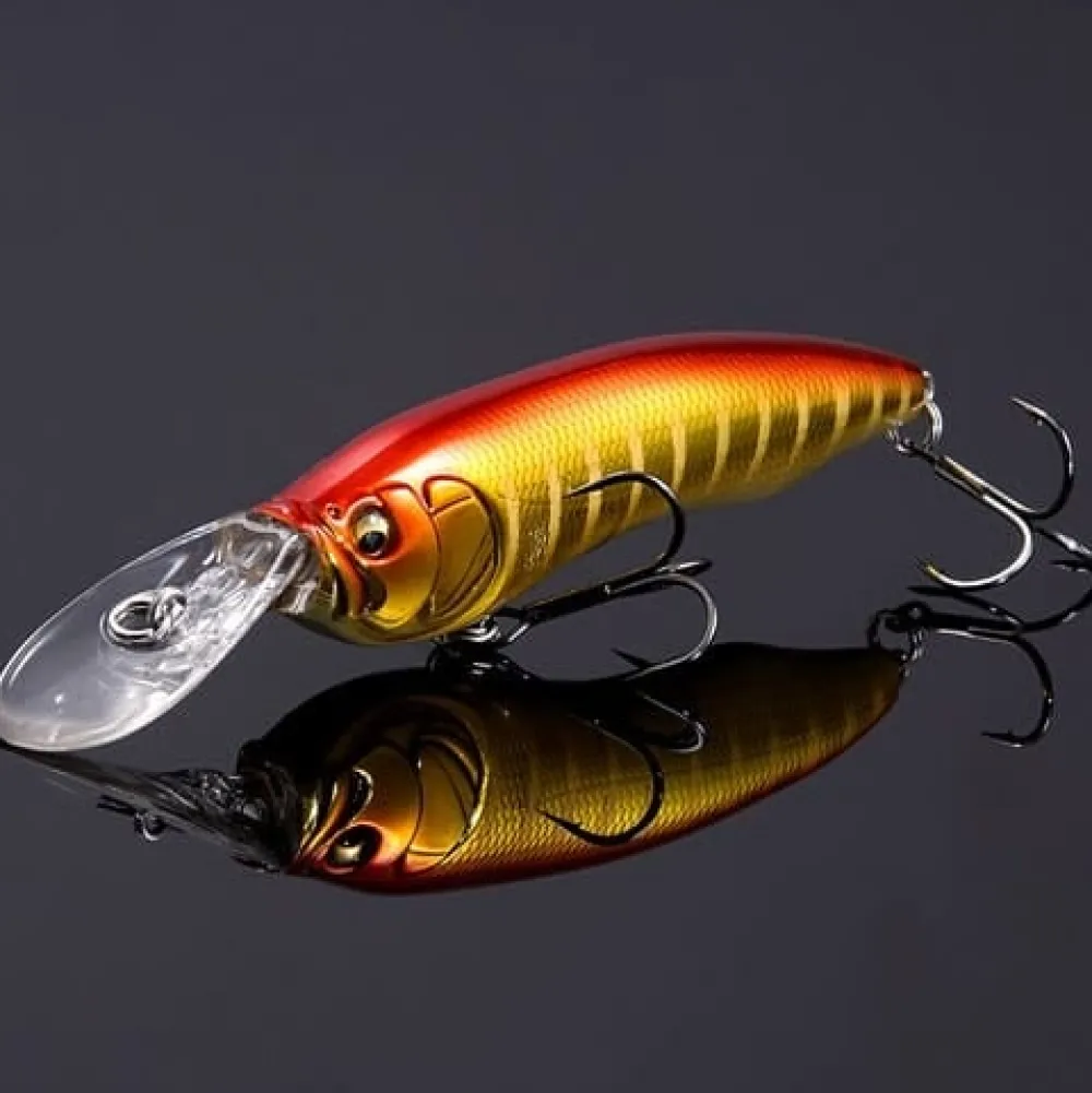 Outlet Live-X Model1 Crankbait (SP-C) M Akakin Curiosity Box