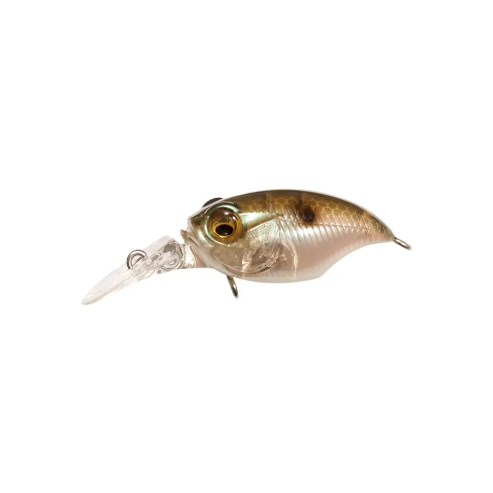 Outlet MR-X Griffon BFS Crankbait Medium Diving Crankbaits (6-10')