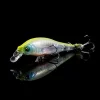 Online Prop Darter 80 Jerkbait (SP-C) Aurora Reaction | 0000654342 Curiosity Box