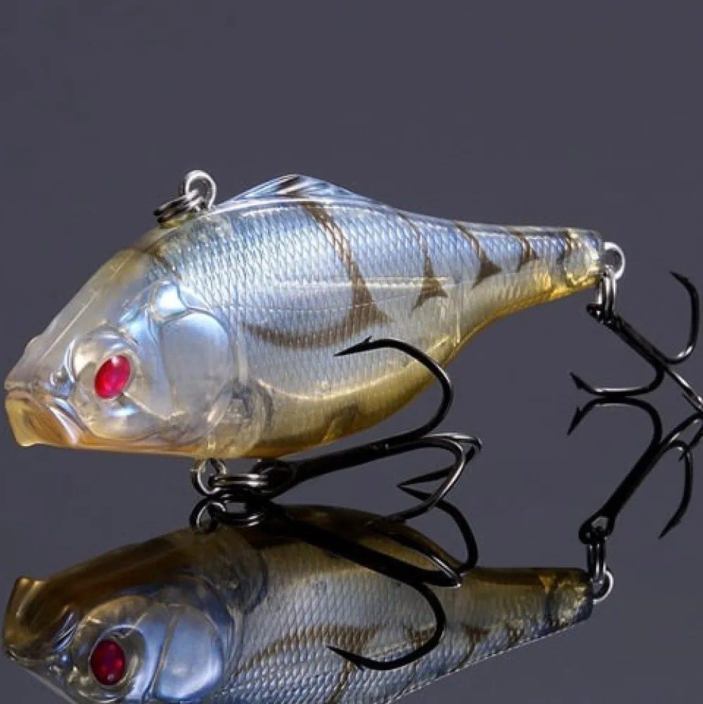 Online Vibration-X Ultra (Rattle) (SP-C) Redeye Glass Shrimp | 00082 Curiosity Box