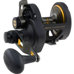 Online Fathom 2 Speed Lever Drag Fishing Reels Conventional Reels