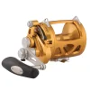 Clearance International VI 2 Speed Conventional Reels Conventional Reels