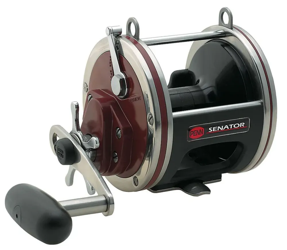 Best Special Senator Star Drag Conventional Reels Conventional Reels