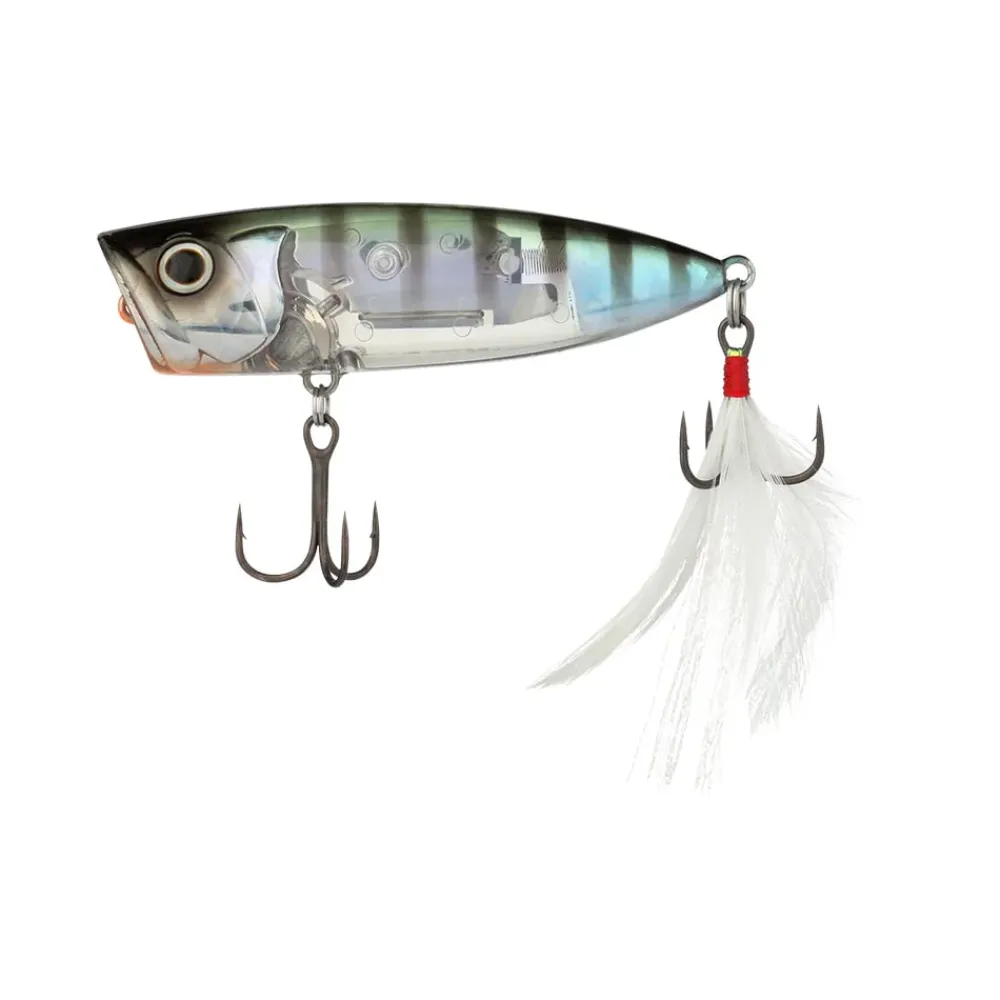 Online World Pop Popper Topwater Hard Baits