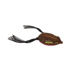 Online Bronzeye Frog Hollow Body Frogs