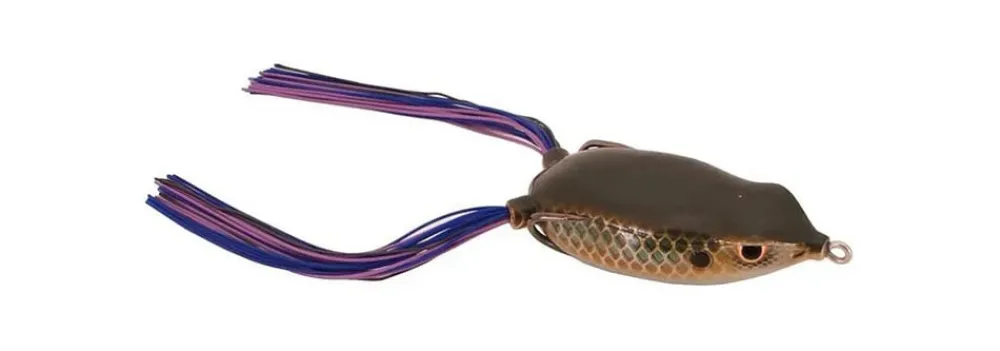 Online Bronzeye Frog Hollow Body Frogs