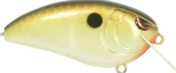 Clearance Fat John 60 Crankbait Shallow Diving Crankbaits (0-5')