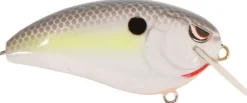 Clearance Fat John 60 Crankbait Shallow Diving Crankbaits (0-5')