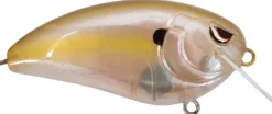 Clearance Fat John 60 Crankbait Shallow Diving Crankbaits (0-5')