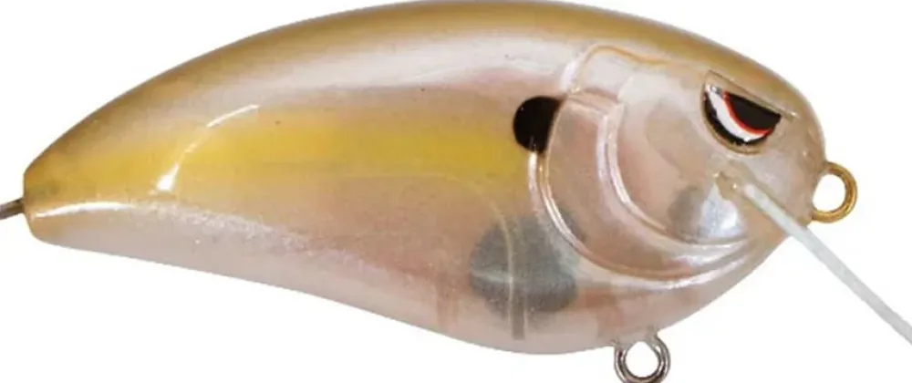 Clearance Fat John 60 Crankbait Shallow Diving Crankbaits (0-5')