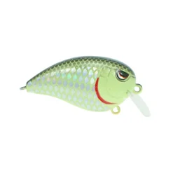 Best Fat John 50 Crankbaits Shallow Diving Crankbaits (0-5')