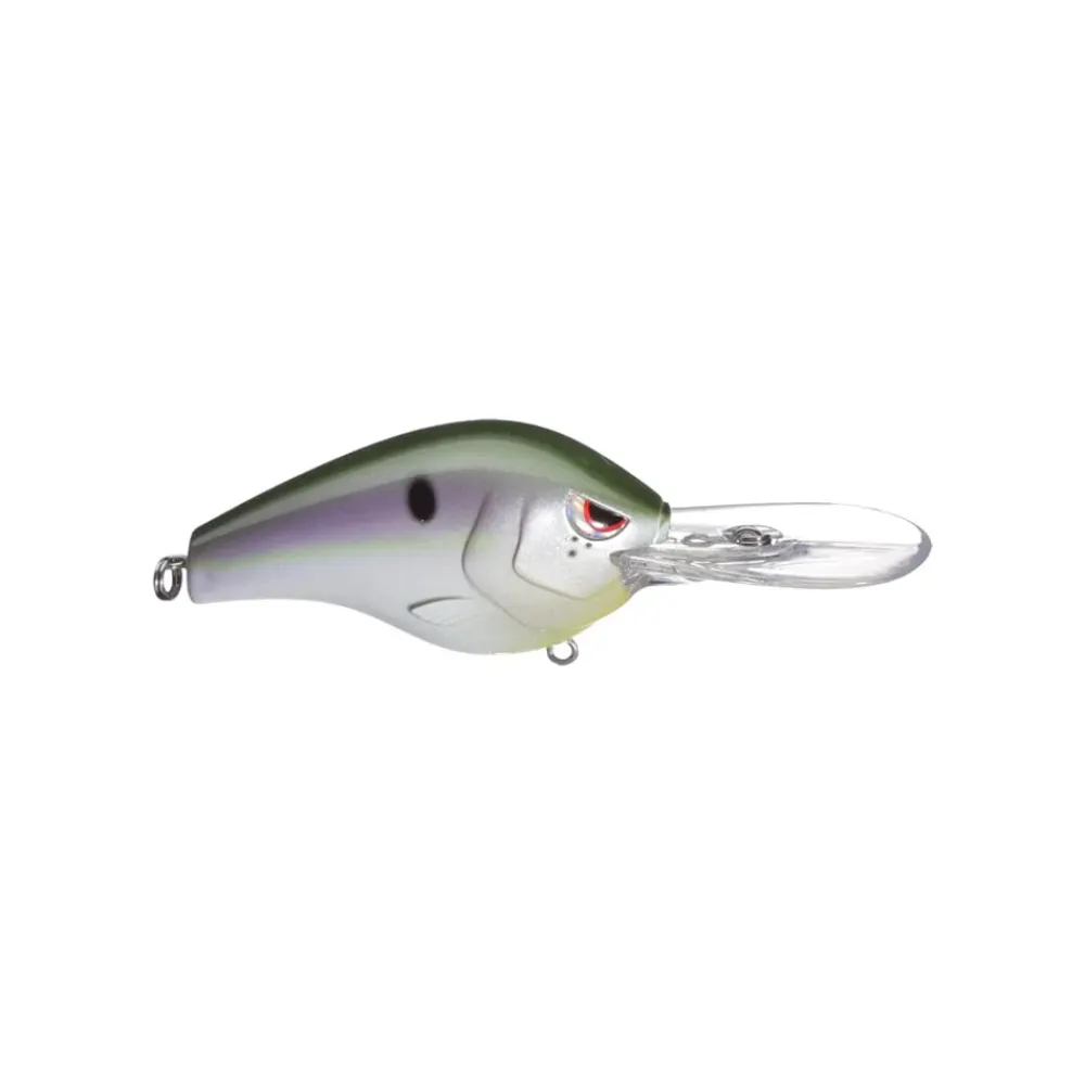 Discount Fat Papa 70 Crankbait Medium Diving Crankbaits (6-10')