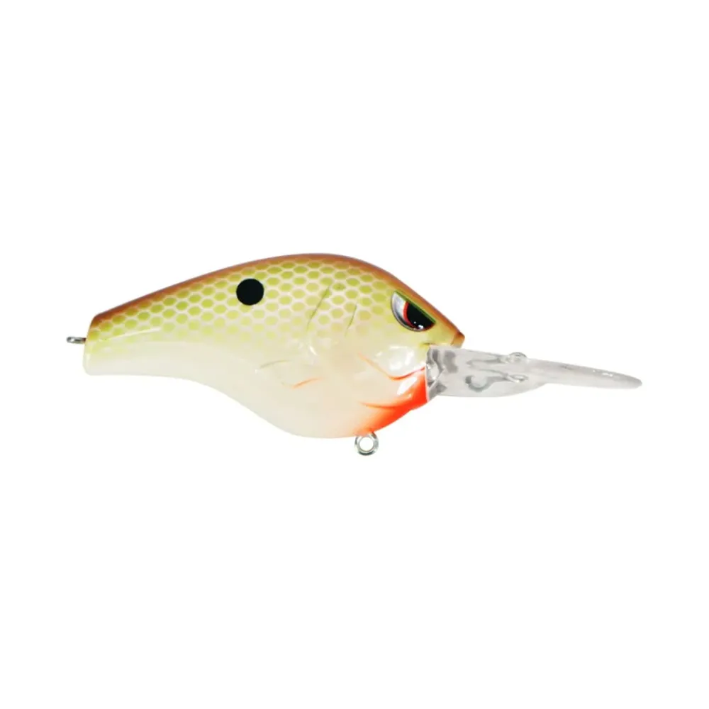Discount Fat Papa 70 Crankbait Medium Diving Crankbaits (6-10')