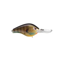 Online Fat Papa 55 Crankbait Medium Diving Crankbaits (6-10')